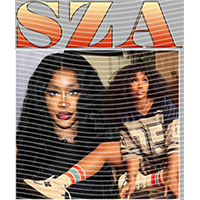 idol singer-GS  1196